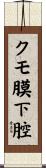 クモ膜下腔 Scroll