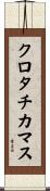 クロタチカマス Scroll