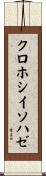 クロホシイソハゼ Scroll