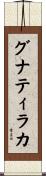 グナティラカ Scroll