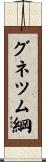 グネツム綱 Scroll