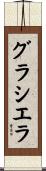 Graciela Scroll