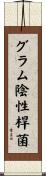 グラム陰性桿菌 Scroll