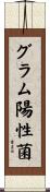 グラム陽性菌 Scroll