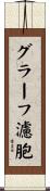 グラーフ濾胞 Scroll