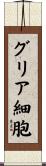 グリア細胞 Scroll