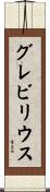 グレビリウス Scroll