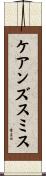 ケアンズスミス Scroll