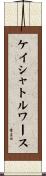 ケイシャトルワース Scroll