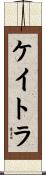 ケイトラ Scroll