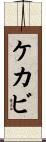 ケカビ Scroll