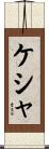 ケシャ Scroll