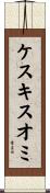 ケスキスオミ Scroll