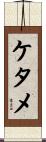 ケタメ Scroll