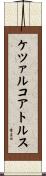 ケツァルコアトルス Scroll