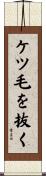 ケツ毛を抜く Scroll