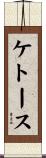 ケトース Scroll