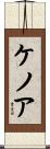 ケノア Scroll