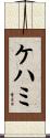 ケハミ Scroll