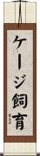 ケージ飼育 Scroll