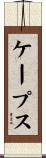 ケープス Scroll
