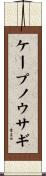 ケープノウサギ Scroll