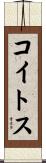 コイトス Scroll