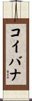 コイバナ Scroll
