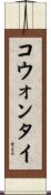 コウォンタイ Scroll