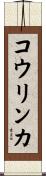 コウリンカ Scroll