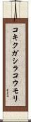 コキクガシラコウモリ Scroll