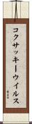 コクサッキーウイルス Scroll