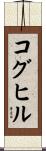 コグヒル Scroll