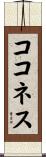 ココネス Scroll