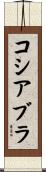 コシアブラ Scroll