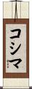 Cosima Scroll