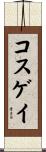 コスゲイ Scroll