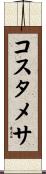 コスタメサ Scroll