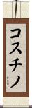 コスチノ Scroll