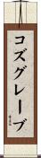コズグレーブ Scroll