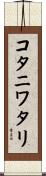 コタニワタリ Scroll