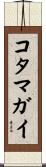 コタマガイ Scroll