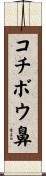 コチボウ鼻 Scroll