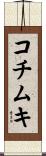 コチムキ Scroll