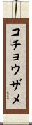 コチョウザメ Scroll