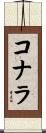 コナラ Scroll