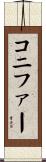 コニファー Scroll
