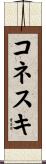 コネスキ Scroll