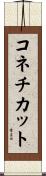 コネチカット Scroll