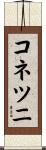 コネツニ Scroll
